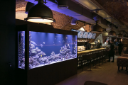 «Рыба мечты» банкетный зал, ресторан на портале по банкетам banketmsk.ru фото